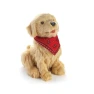 Companion Pet for Seniors - Lifelike Animatronic Dog — Robot Pet, JOY FOR ALL