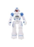 Interactive Intelligent LED Light RC Robot Toy, HBUDS