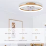 Modern Gold Ceiling Fan with Lights, STERREN