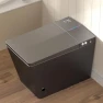 Smart Bidet Toilet, WinZo