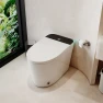Smart Toilet with Bidet Built in, Merax