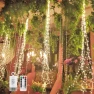 LED Firefly Bunch Lights