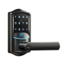 WiFi Smart Lever Lock with Fingerprint Keyless Entry — Smart Lock, Veise