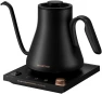 Electric Kettle with Precise Temperature Control — Electric Kettle, INTASTING