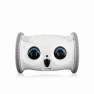 Pet Camera with Treat Dispenser and Interactive Toy — Robot Pet, SKYMEE