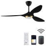 52 Inch Black Modern Ceiling Fan with Light and Remote Control — Smart Fan, reiga