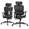 Ergonomic Office Chair with Adjustable Headrest, 3D Armrests, and Lumbar Support — Smart Chairs, Magshion