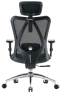 Ergonomic Office Chair — Smart Chairs, SIHOO