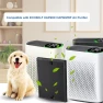 Large Room Air Purifier with True HEPA and Air Quality Display — Air Purifier, ECOSELF