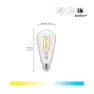 60W ST19 Tunable White Filament LED Smart Light Bulb — Smart Light Bulb, WiZ Connected