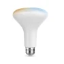 BR30 Smart LED Light Bulb, Tunable White — Smart Light Bulb, Feit Electric