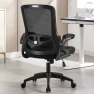 Ergonomic Desk Chair with Adjustable Lumbar Support — Smart Chairs, Nexthro