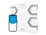 Bluetooth Body Fat Scale — Smart Scale, INEVIFIT