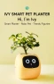 Ivy Interactive AI Desk Companion — Robot Pet, PLANTSIO
