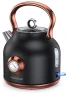 Retro Electric Kettle with Temperature Gauge — Electric Kettle, NESSGRAIM