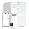 Smart Scale WiFi for Body Weight with ChatGPT Integration — Smart Scale, TETON ELECTRONICS