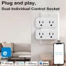 16A WiFi Dual Smart Outlet Plug with 2 Independent Control Sockets — Smart Plug, RODOT