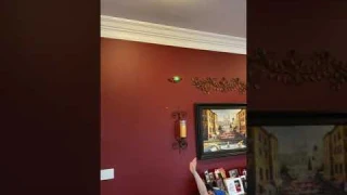 Indoor mini Drones are a blast ! Force 1 Scoot Hand Review  UAV  UAS Drones UFO Sighting