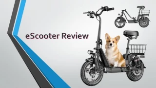 I love this electric scooter.  INSDRGN C14