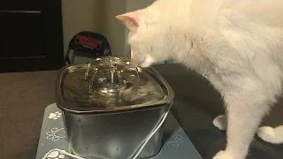 Veken Pet Fountain Set Up & Assembly | Silver Stainless Steel