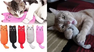 Legendog 5Pcs Catnip Chew Toy Review