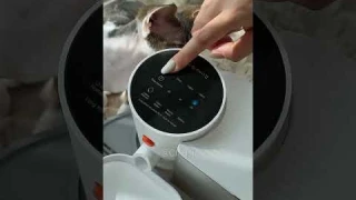 This smart pet water fountain doesn't require a filter, making it very cost effective. #cat #shorts