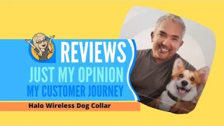 Halo Collar Review - What's in the box