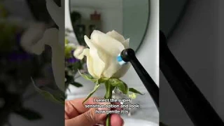 Oral-B iO Series 9 Review: The Ultimate Electric Toothbrush