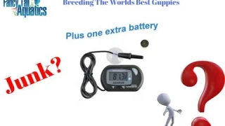 Cheap Digital Thermometers Reviewed For Aquariums! Worth It?