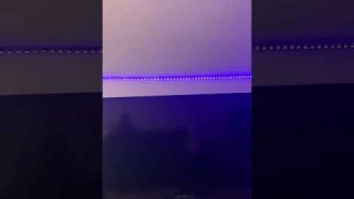 Amazon com  Customer reviews  DAYBETTER LED Strip Lights 130ft 2 Rolls of 65 6ft Color Changing Ligh