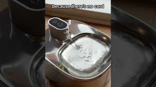 You NEED to try this new cat fountain 😻