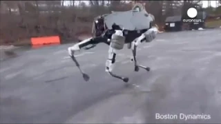 الكلب الآلي robot dog google