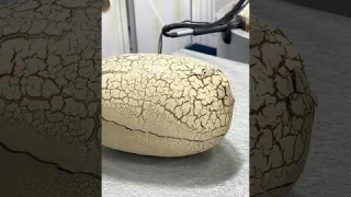 Primal Hatch 🦖 #dino #spinmaster #toyfairnewyork