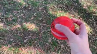 PetDroid Interactive Dog Toys Dog Ball Review