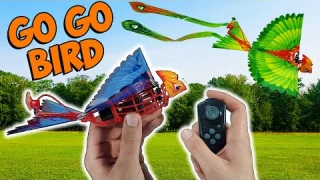 Go Go Bird - RC Flying Bird - Full UNBOXING, TESTING and REVIEW