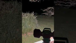 This Thing Lights Up My Entire Yard (EGO Portable Light)
