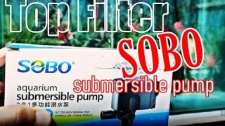 SOBO WP 1880 / UNBOXING & SET UP FOR TOP FILTER / GLOFISH ANGEL ORANDA GOLDFISH