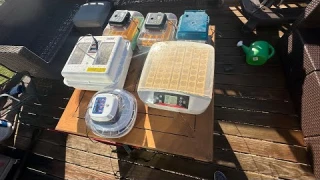 Testing 7 Different Egg Incubators - Which One is Best?