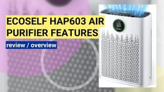 EcoSelf HAP603 Air Purifier Review: The Ultimate Solution for Large Rooms?