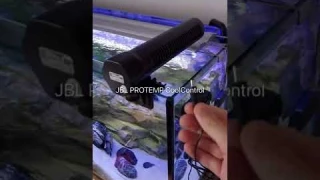 🥶🥵 JBL PROTEMP CoolControl - Thermostat to regulate aquarium cooling fans #shorts #meinjbl #myjbl