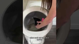 4 Reasons You'll Love Litter-Robot  #catcare #whisker