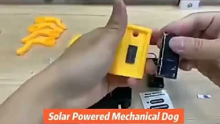 Solar Powered Electric Mechanical Dog Robot Science Technolog Educational Diy Assembly Toys