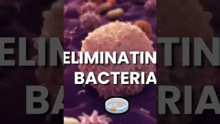 Wave This UV Light Over Your Room & Kill 99.9% of Germs—No Chemicals! ✨🔦