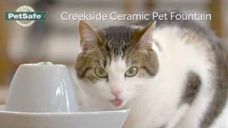 PetSafe® Creekside Ceramic Pet Fountain