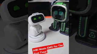 Introducing Emo Robot to Aibi Robot 🤖 #Shorts