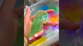 I MADE the LARGEST SEAHORSE Orbeez in the World! 😱🌎💦🫧