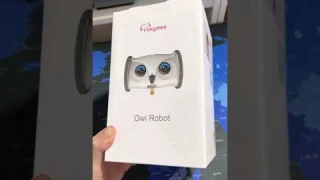 Owl Robot for your Pet! #petrobot #robot #viralreels