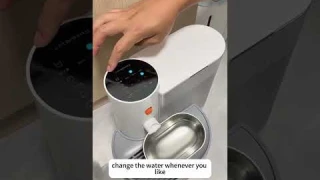 PetGravity Smart Water Fountain – Wireless & Self-Refilling | FREE Stainless Steel Bowl Gift!