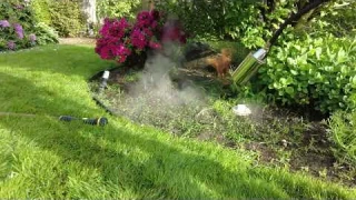 Heavy Duty Weed Torch, Propane Torch Weed Burner with 8.8 FT Hose Review, Lights easily, works well