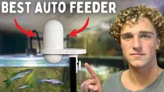 Hygger's Automatic Fish Feeder - You NEED This Product!